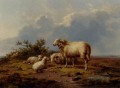 Schaf in der Wiese Eugene Verboeckhoven Tier